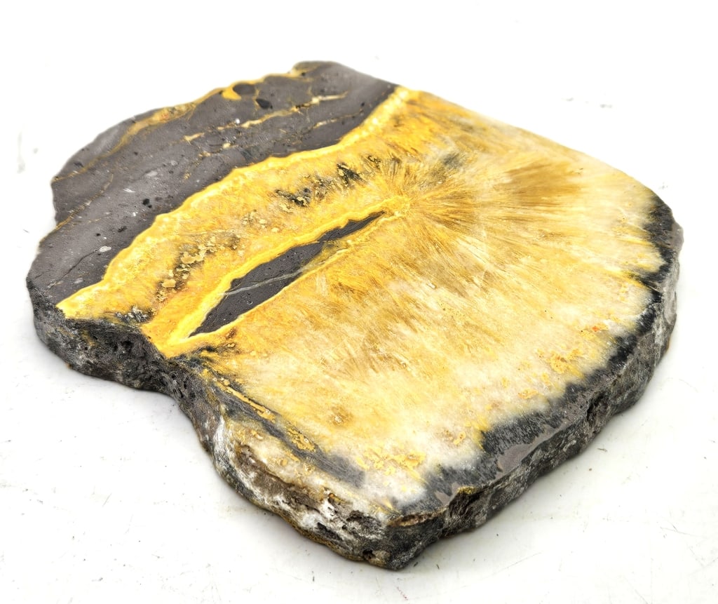 FIne Natural Bumble Bee Agate Polished Slab: Item is the exact item in the image- Bidder is responsible for all value and grade dtermination - Please review all terms and conditions prior to placing any bids-