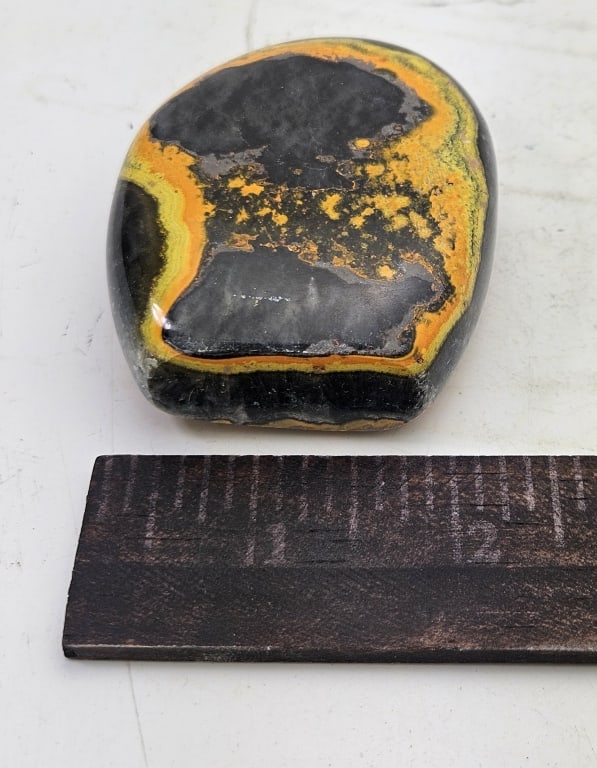 157.1 gram Double Sided Bumble Bee Jaster Dome - 3