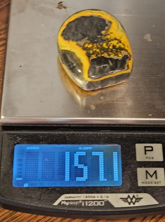 157.1 gram Double Sided Bumble Bee Jaster Dome - 4
