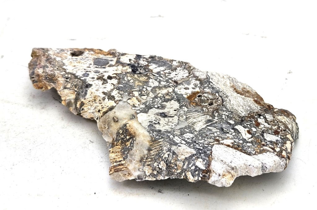 86.20 gram Natural Opalized Breccia Slab: Item is the exact item in the image- Bidder is responsible for all value and grade dtermination - Please review all terms and conditions prior to placing any bids-