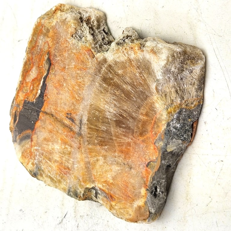 113.9 gram Natural Bumble Bee Jasper Slab: Item is the exact item in the image- Bidder is responsible for all value and grade dtermination - Please review all terms and conditions prior to placing any bids-