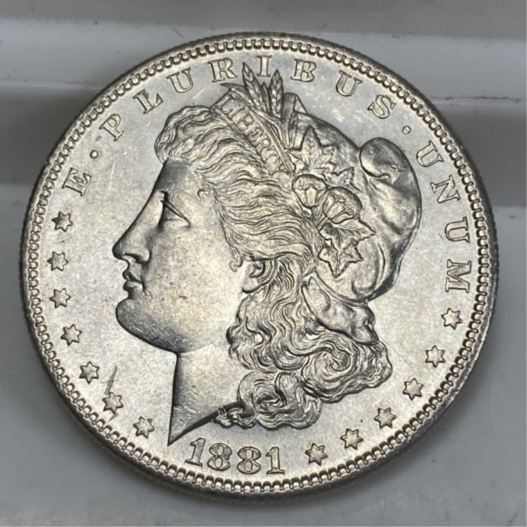 1881 s PL Reverse BU Grade Morgan Dollar: Item is the exact item in the image - Bidder responsible for determination of grade and value of items shown. Item qualifies for fast ship program.