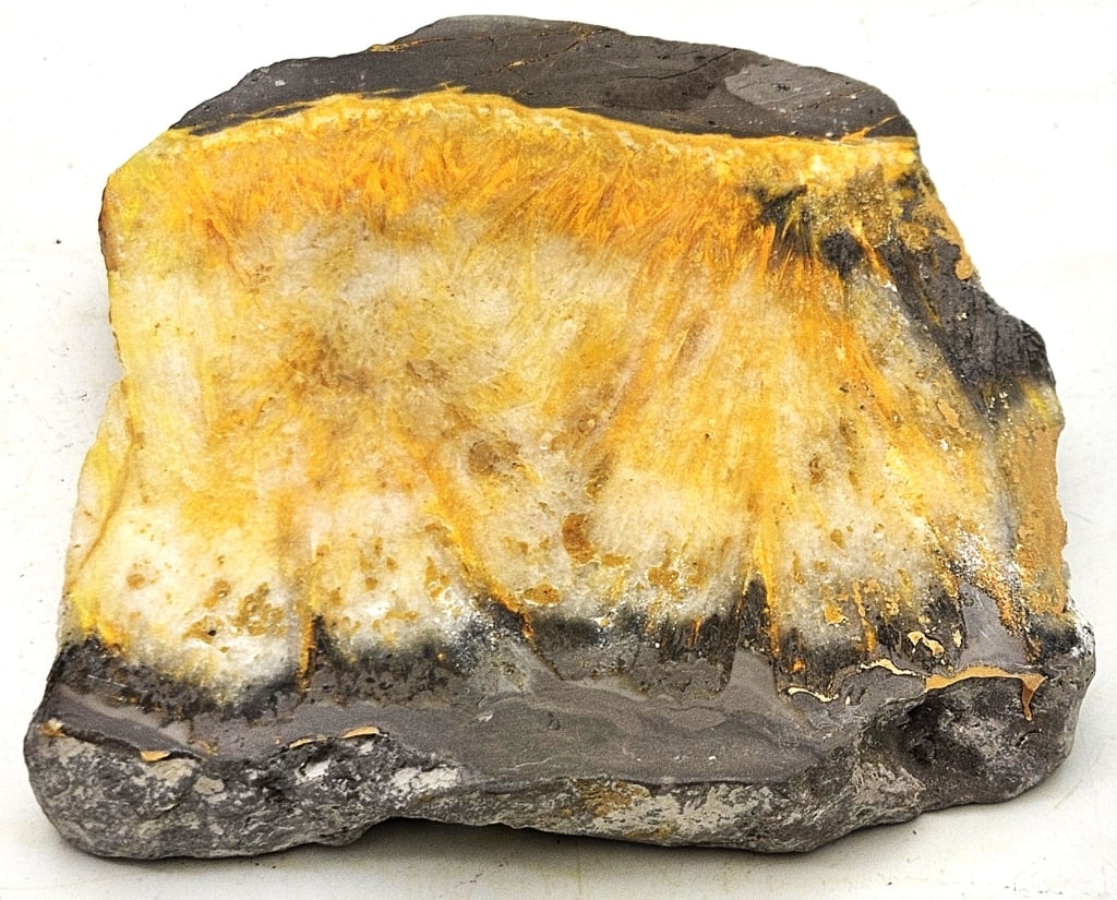 132.8 gram Natural Bumble Bee Polished Slab: Item is the exact item in the image - Please review all terms and conditions prior to placing any bids - Bidder is responsible for all value grade dtermination - All sales final and any bid is an