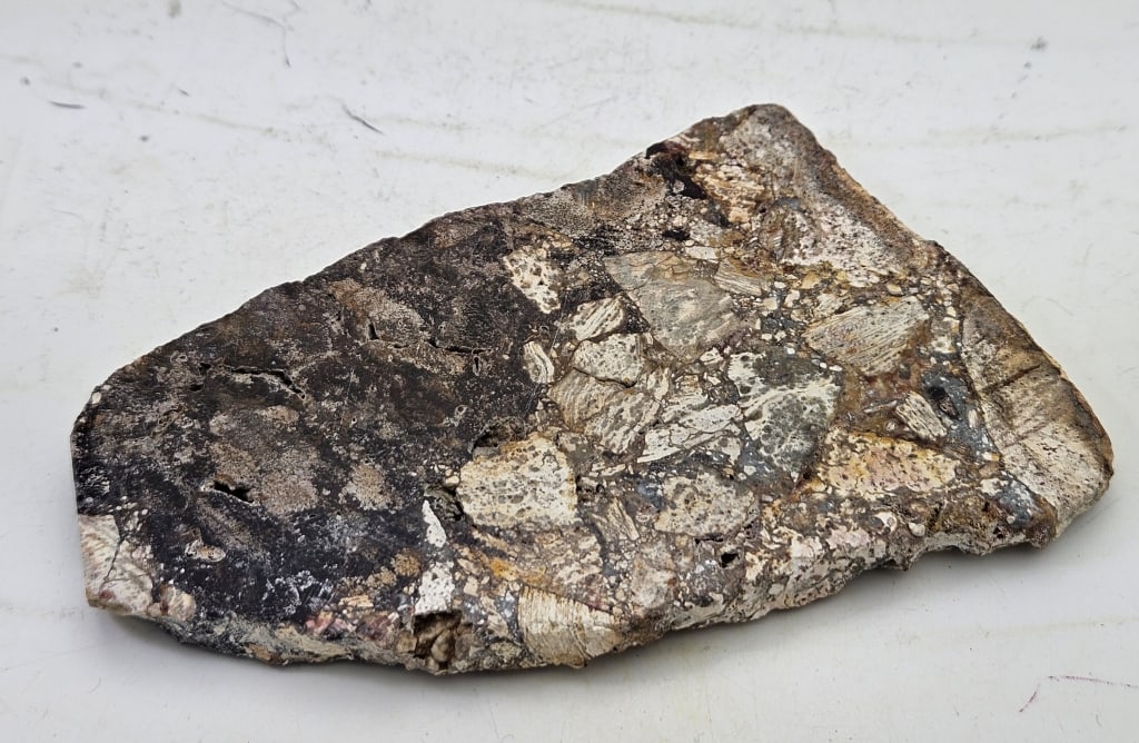 Opalized Breccia Slab Specimen - 2