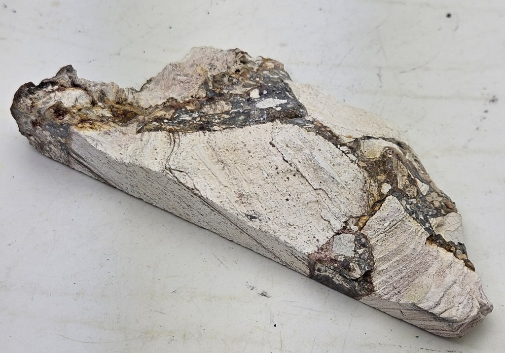 95.34 gram Opalized Breccia Slab Specimen: Item is the exact item in the image- Bidder is responsible for all value and grade determination- Please review all terms and conditions prior to placing any bids-