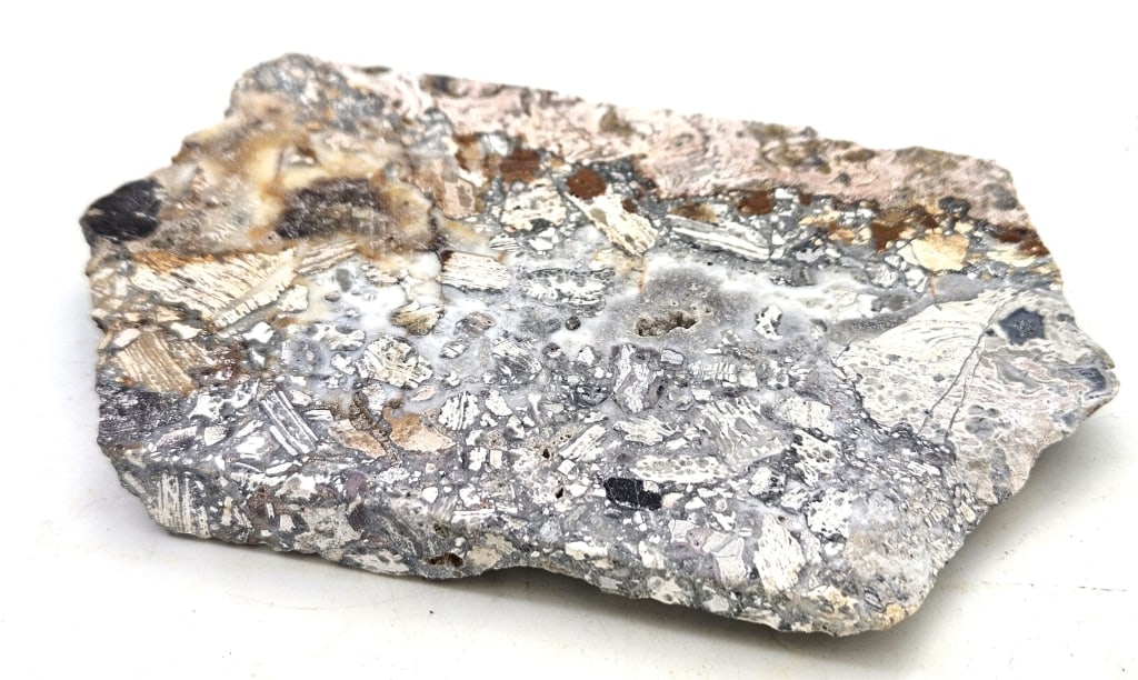 123.44 gram Opalized Breccia Specimen Slab: Item is the exact item in the image- Bidder is responsible for all value and grade determination- Please review all terms and conditions prior to placing any bids-