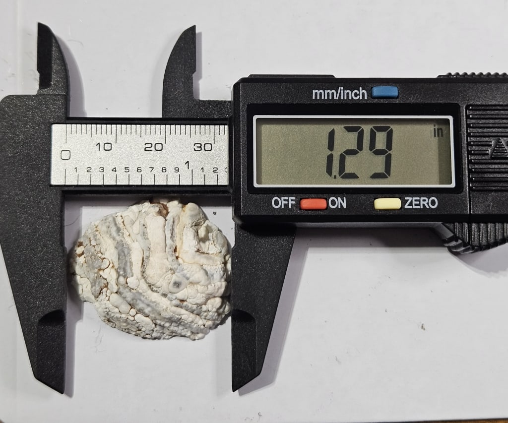 Natural South American Oco MIni Geode - 3