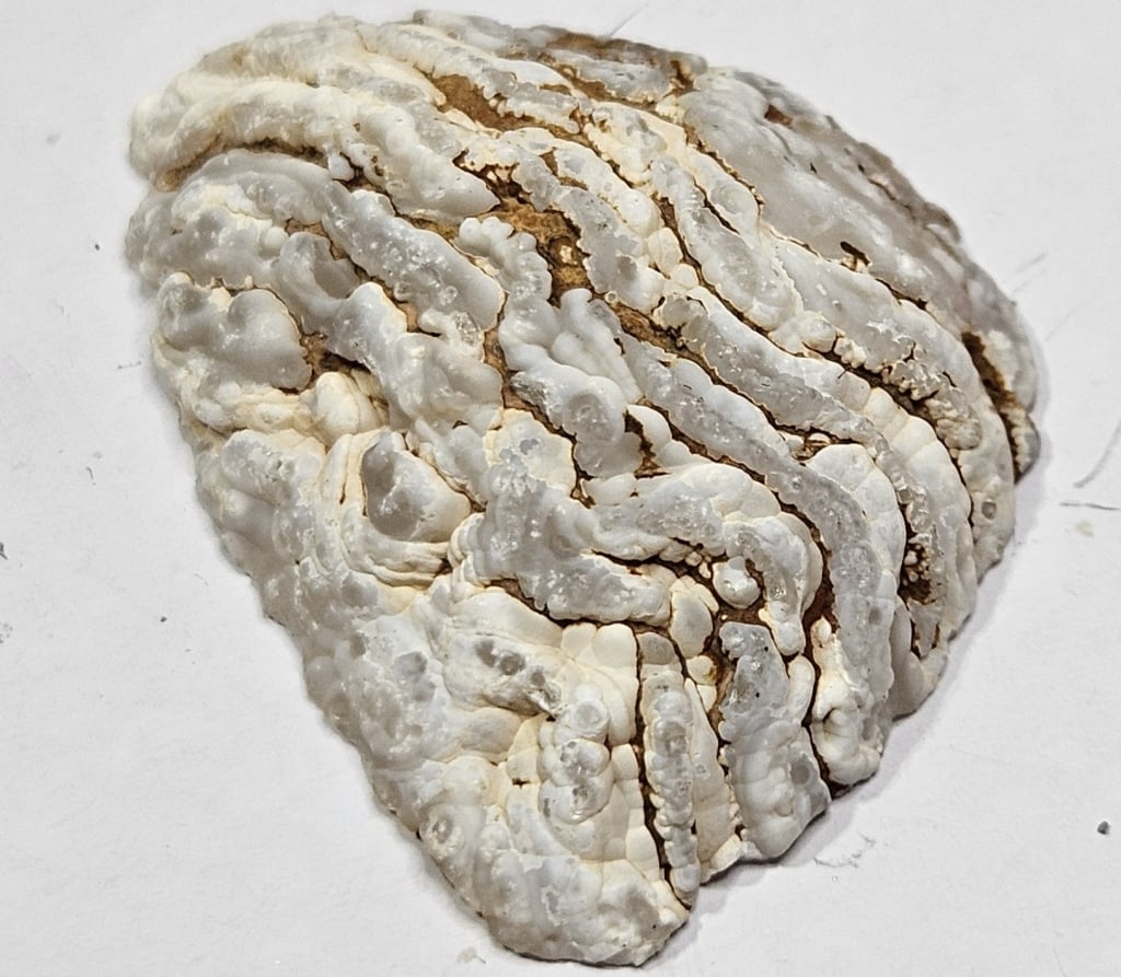 8.36 gram Natural Mini Oco Geode - 2