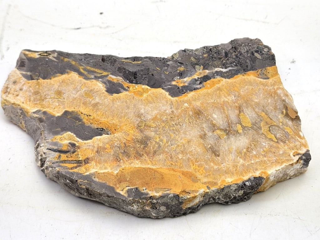 196.3 Natural Bumble Bee Slab: Item is the exact item in the image - Please review all terms and conditions prior to placing any bids - Bidder is responsible for all value grade dtermination - All sales final and any bid is an