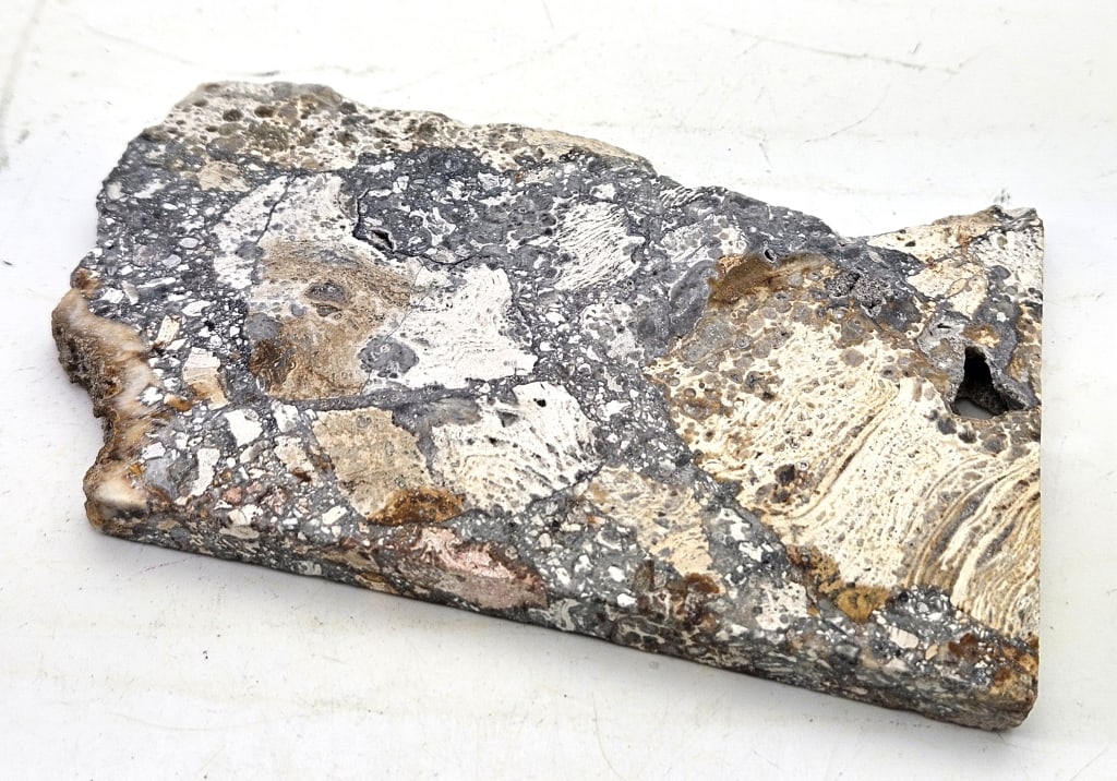 131.3 gram Natural Opalized Breccia Slab: Item is the exact item in the image - Please review all terms and conditions prior to placing any bids - Bidder is responsible for all value grade dtermination - All sales final and any bid is an