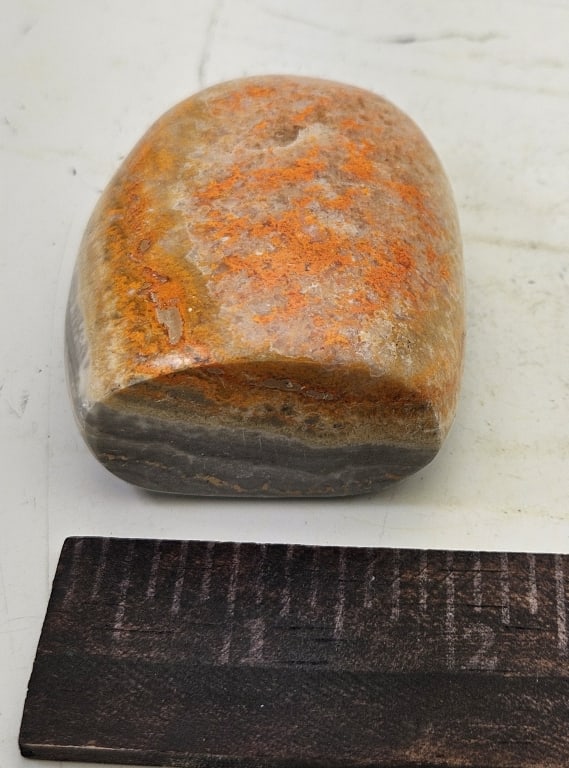 167.6 gram Natural Bumble Bee Jasper Specimen - 3