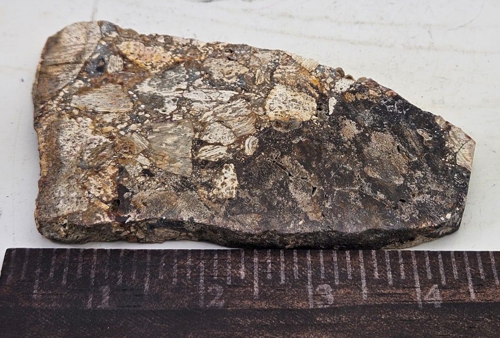 Opalized Breccia Slab Specimen - 3