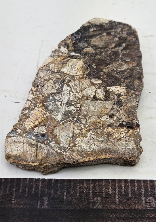 Opalized Breccia Slab Specimen - 4