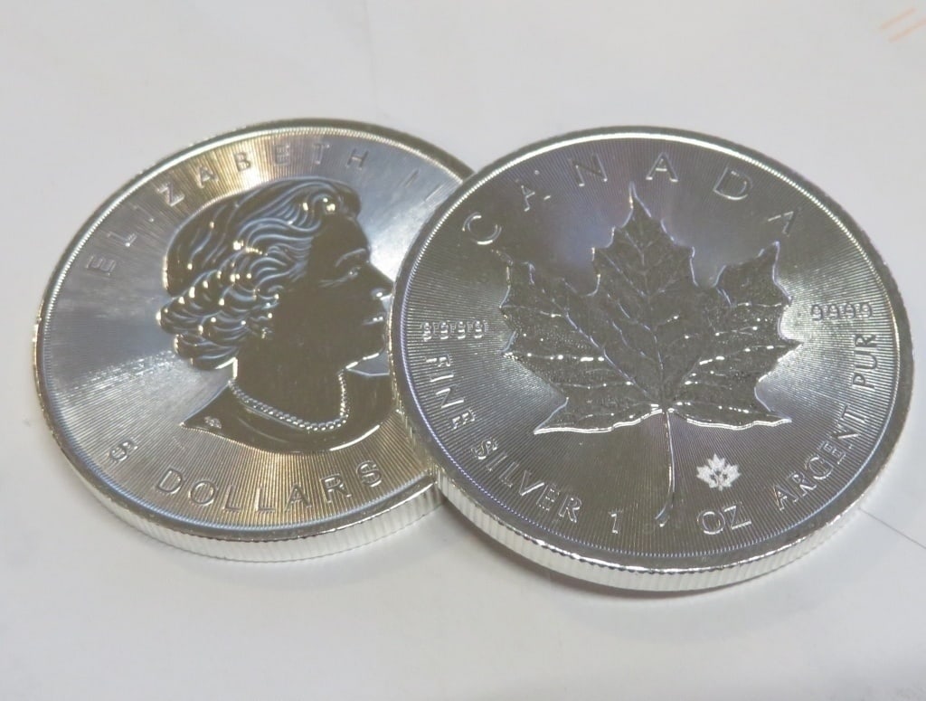 1 oz. Silver Maple Leaf (1) Random Date: A 1 oz Silver Canadian Maple Leaf .9999 Pure Random Date of our choice from stock on hand. Image shows front and back for verification only. Lot is for ONE coin only.