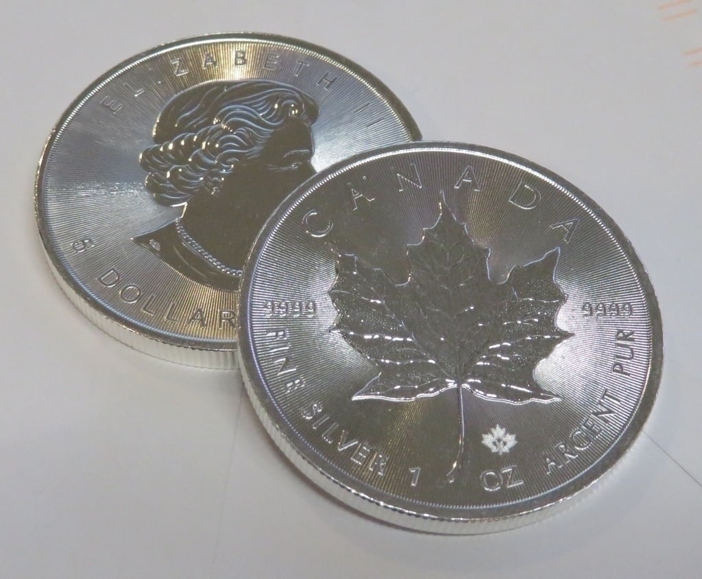 (1) Random Date Silver Canadian Maple Leaf: Items will be as shown in the image- A mixed date and grade lot. Please review the entire terms and conditions prior to placing any bids-