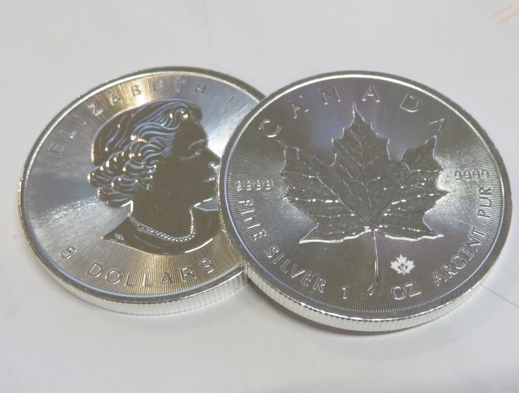 1 oz. Silver Maple Leaf (1) Random Date: A 1 oz Silver Canadian Maple Leaf .9999 Pure Random Date of our choice from stock on hand. Image shows front and back for verification only. Lot is for ONE coin only.