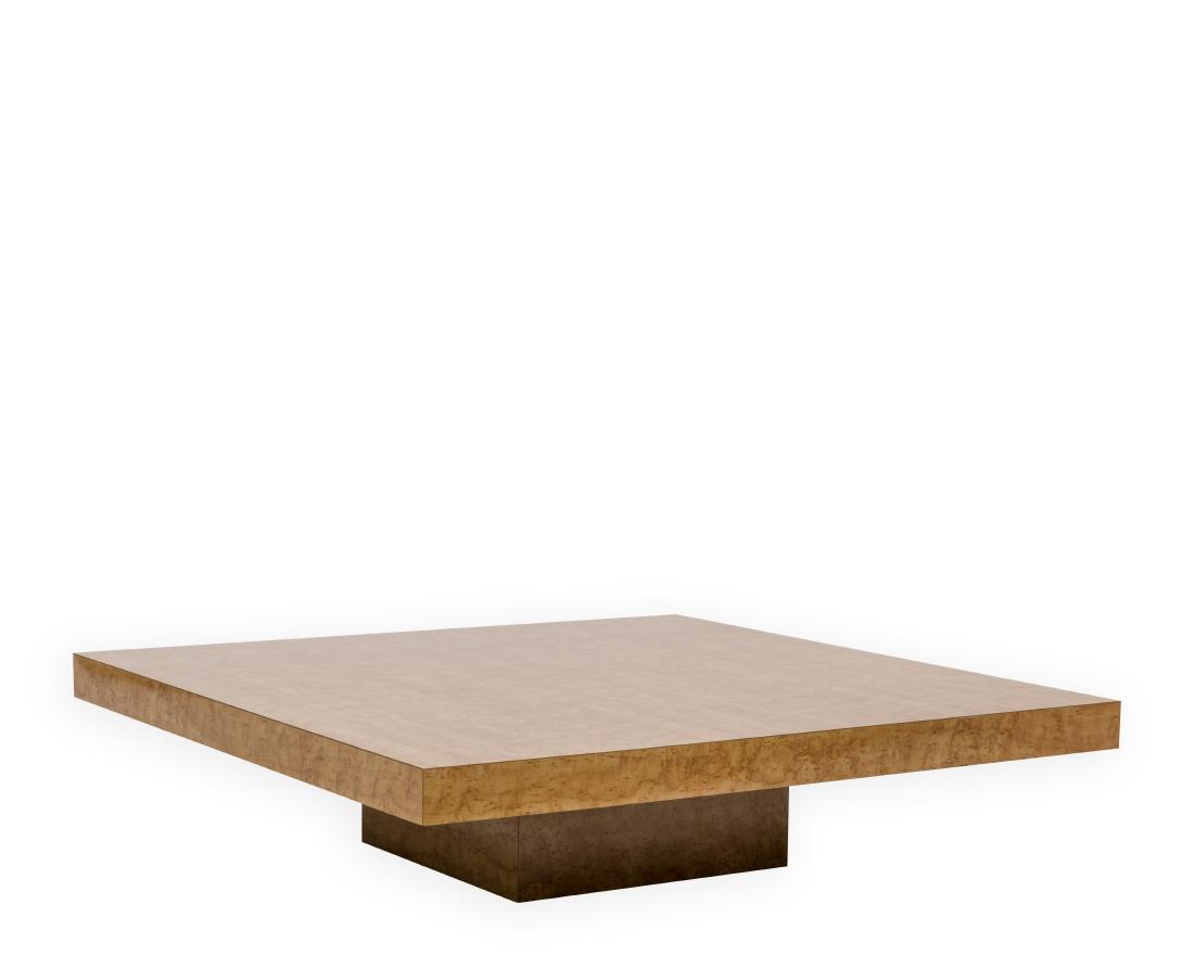 Milo Baughman Attributed Coffee Table (1 of 5)