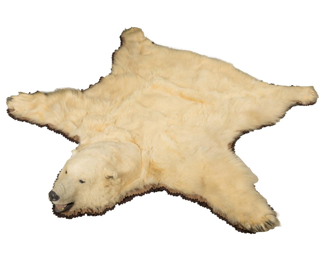 Polar Bear Rug with Head
