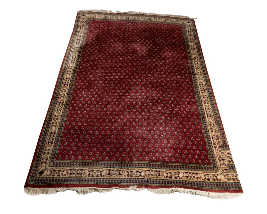 Oriental Rug - 9' x 13' (1 of 3)