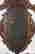 item-59426178=9