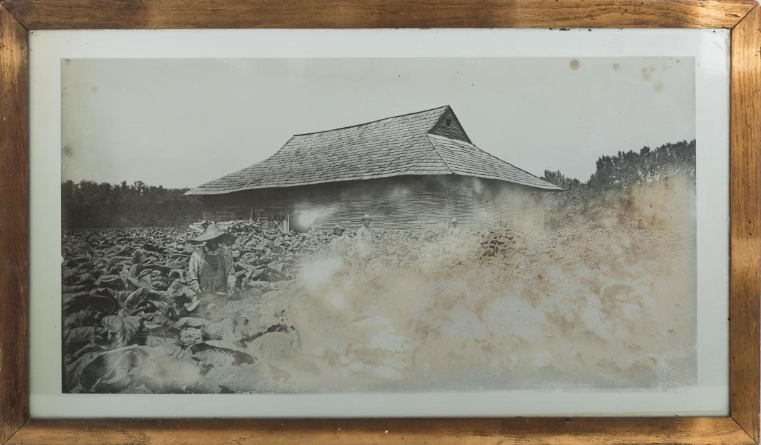 Large Photographic Glass Negative (1 of 4)