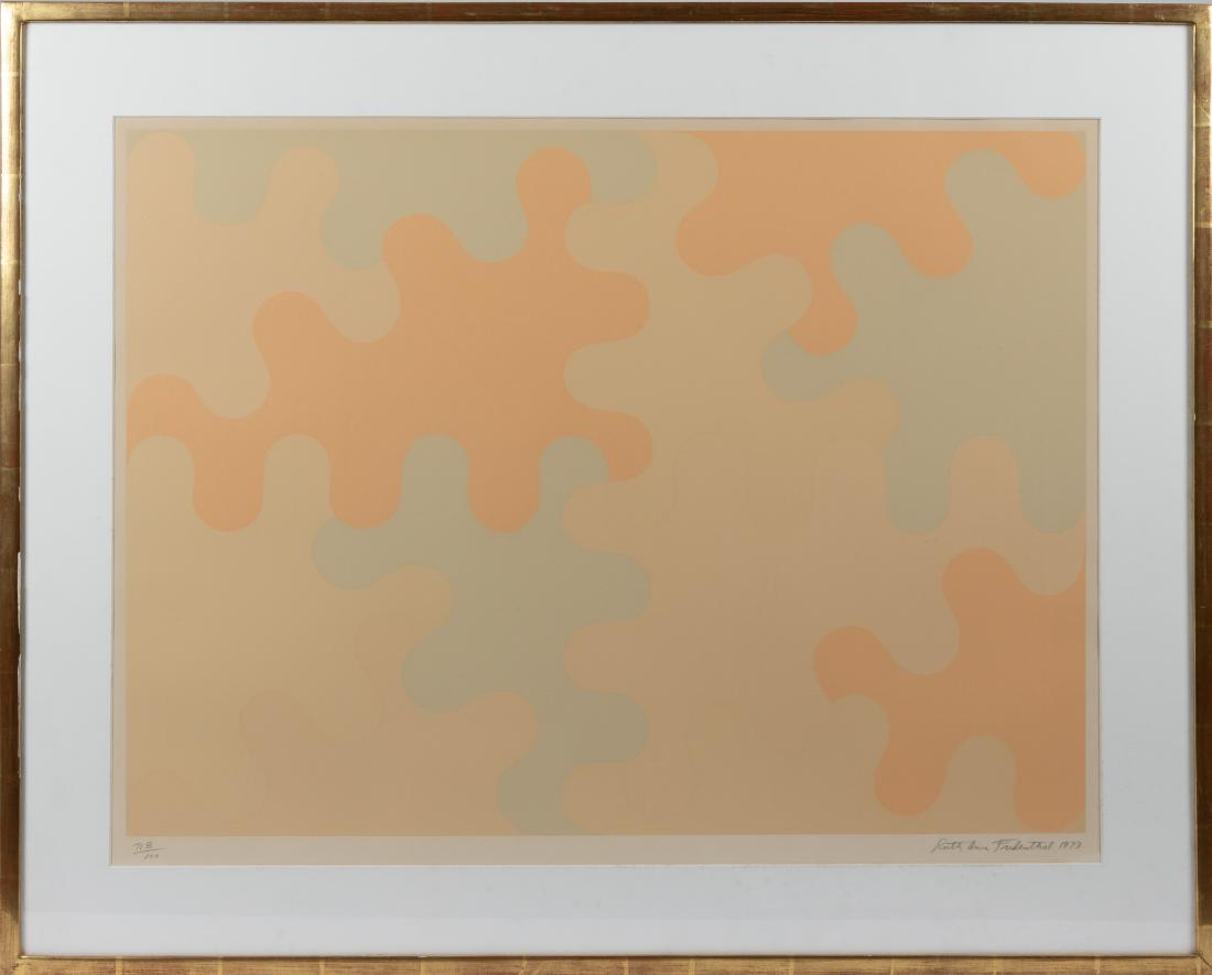 Ruth Ann Fredenthal - Silkscreen: Description - A numbered and signed silkscreen print of puzzle pieces by Ruth Ann Fredenthal. Numbered 71B/100 and dated 1973. Dimensions -