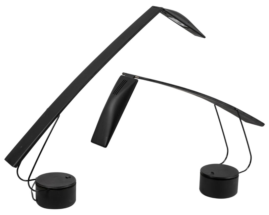 Mario Barbaglia & Marco Columbo - Dove Lamps: Description - A pair of Dove lamps for PAF Studio by Mario Barbaglia and Marco Columbo. Dimensions - Apporx 24" x 25" x 5"