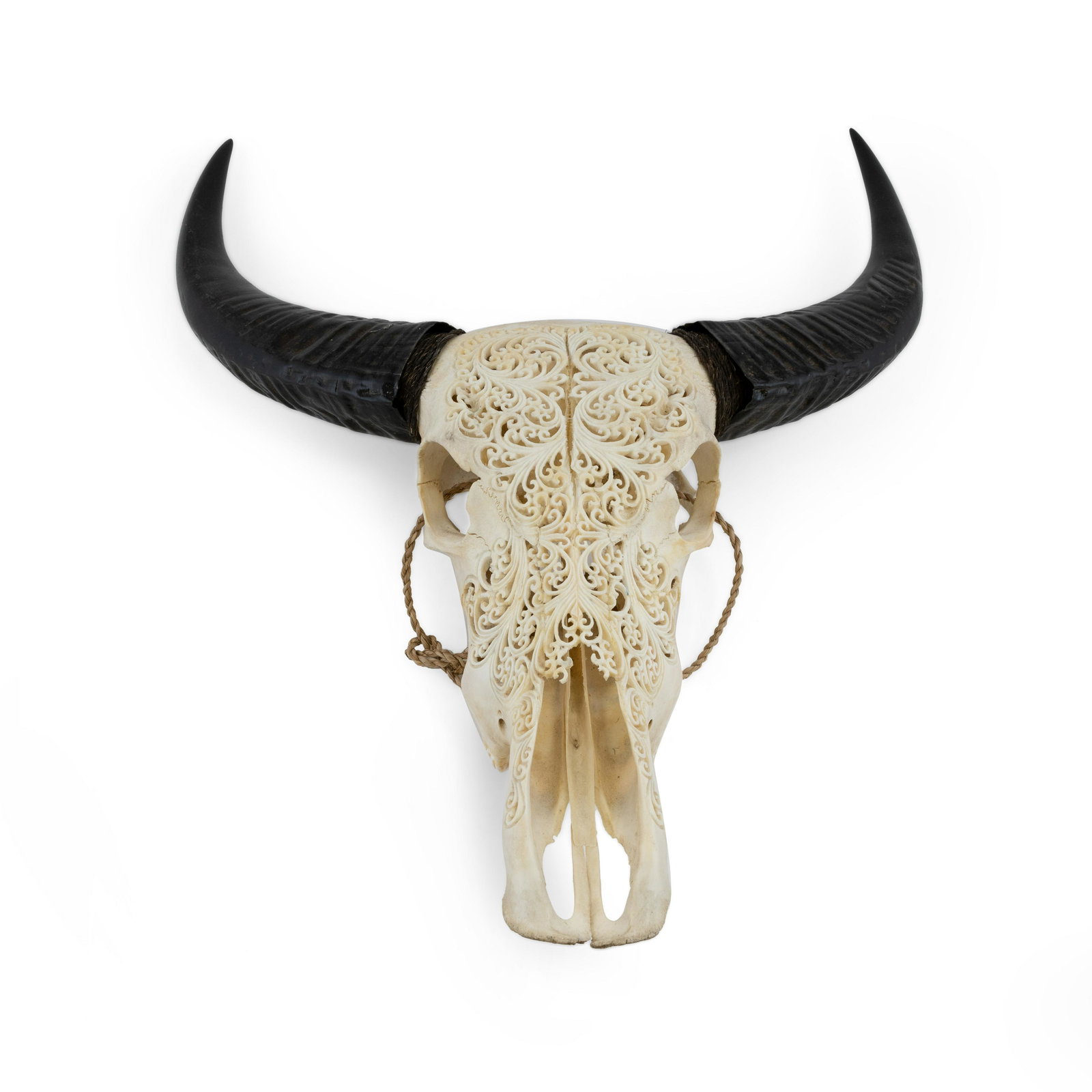 Carved Water Buffalo Skull (1 of 3)