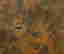 item-79397680=4