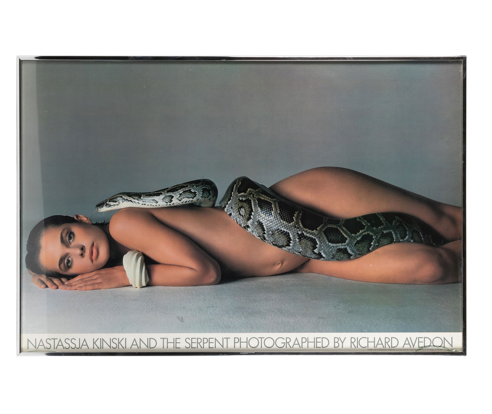 Richard Avedon - Poster (1 of 2)