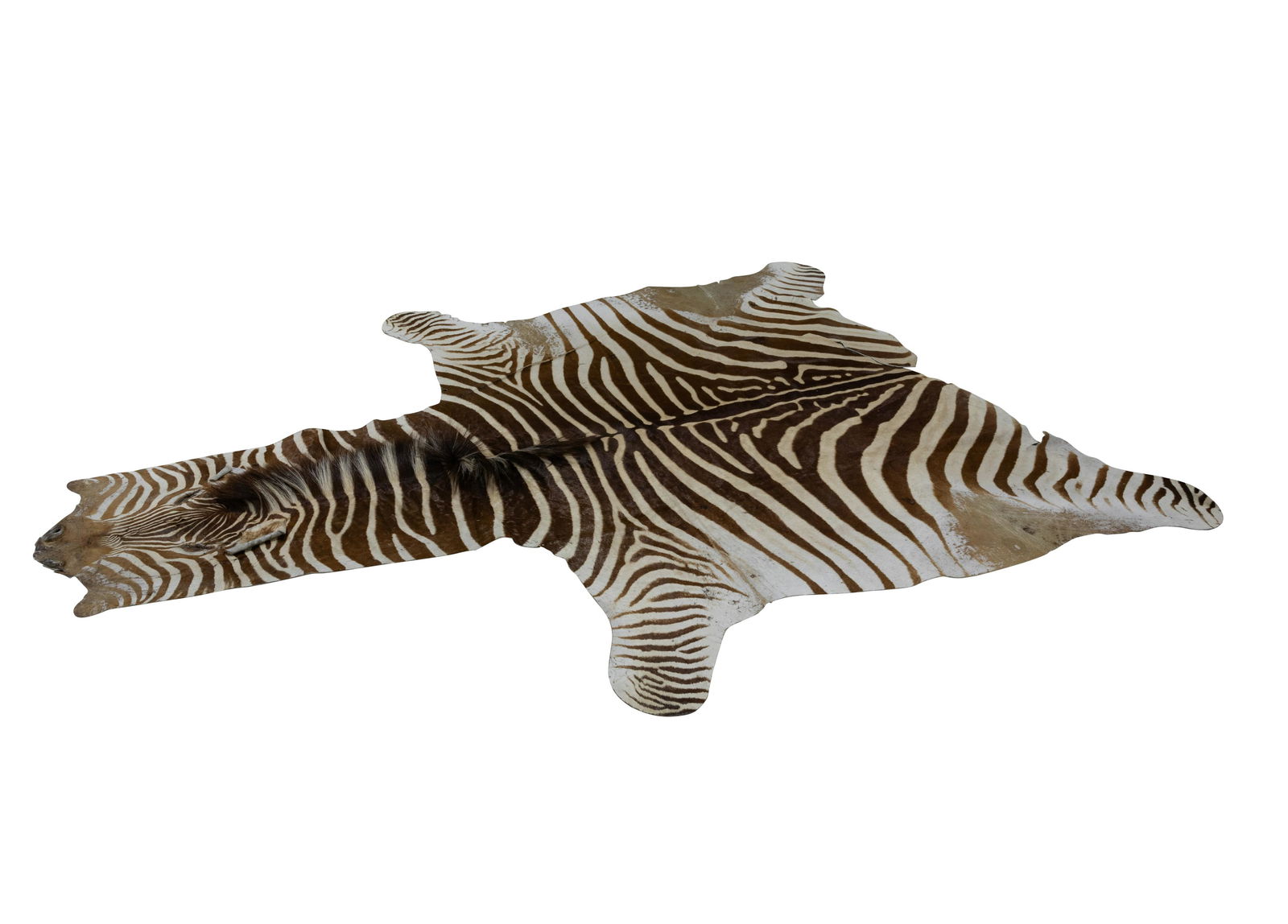 Zebra Hide Rug (1 of 4)