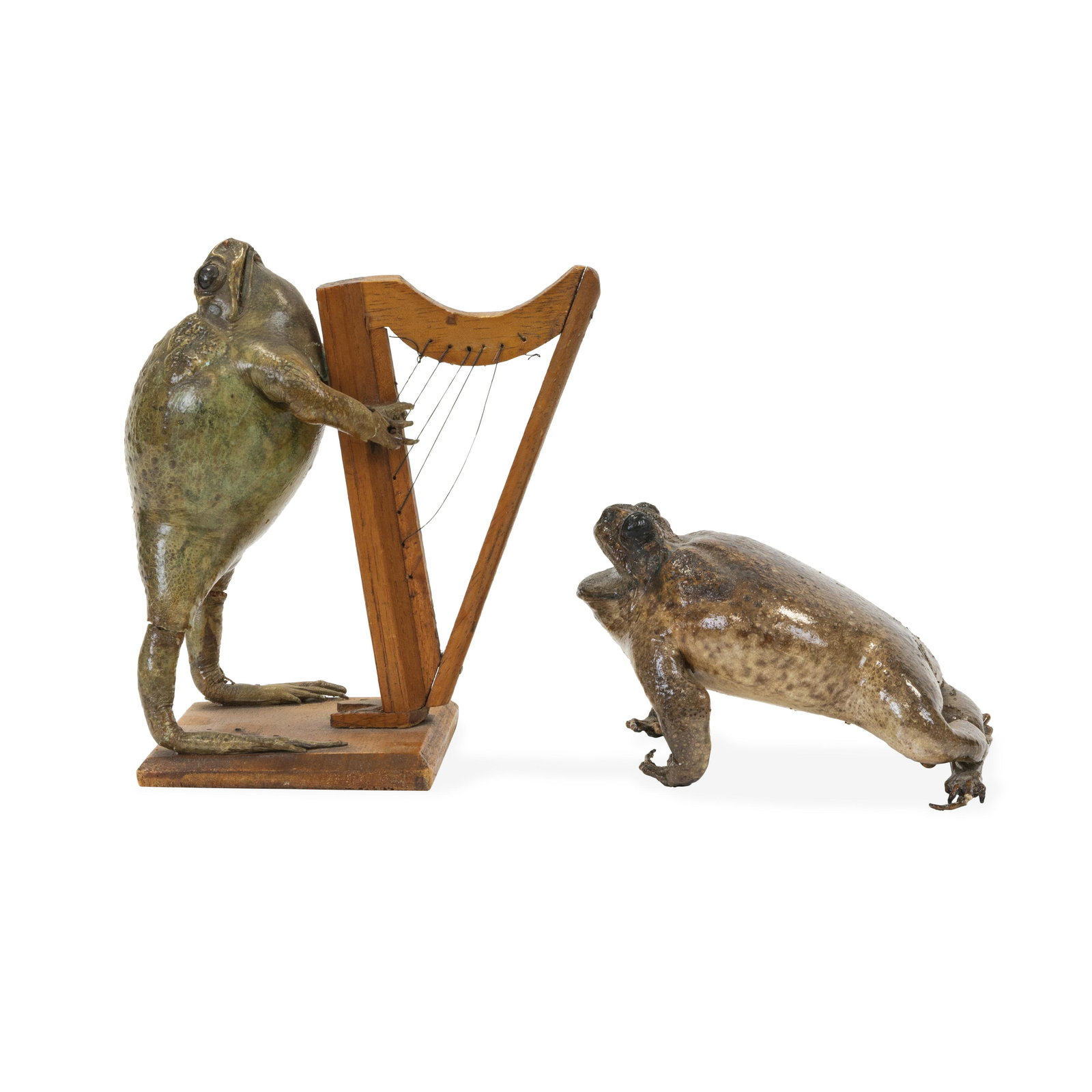 Taxidermy Frogs: Description - Two taxidermy frogs, one playing a harp. Dimensions - Largest - 7" x 6" x 4"