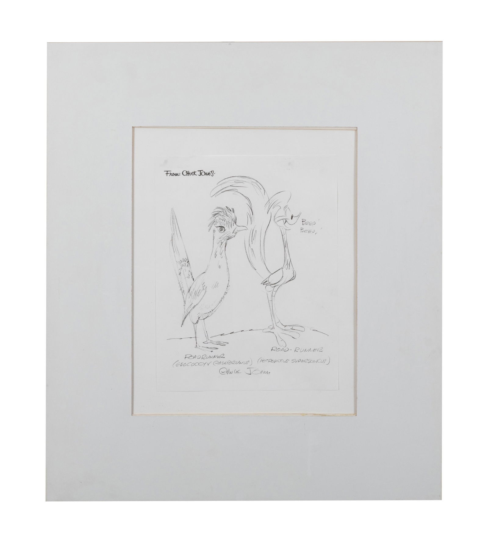 Chuck Jones - Road-Runner Drawing (1 of 5)