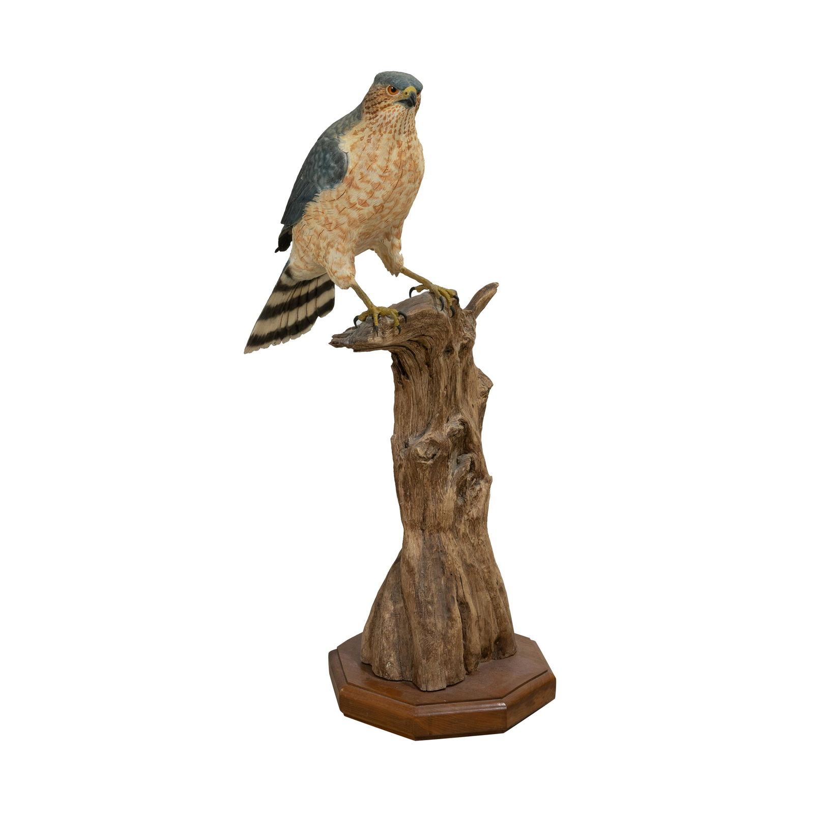 Carved Nighthawk (1 of 4)