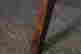 item-131801221=4