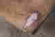item-131801252=2