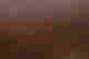 item-131801261=3