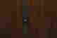 item-131801261=5