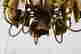 item-131801281=4