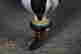 item-131801286=3