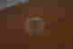 item-131801300=4