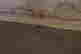 item-131801315=6