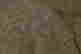 item-131801315=7