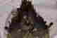 item-131801406=3