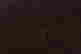 item-131801431=3