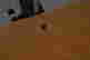item-131801516=3