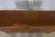 item-131801902=2