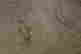 item-132040481=4