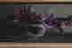 item-136623472=8