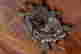 item-136623604=3